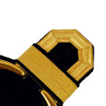 Tressenspangen (ein Paar) gold für Epauletten - Farbe - gold-schwarz